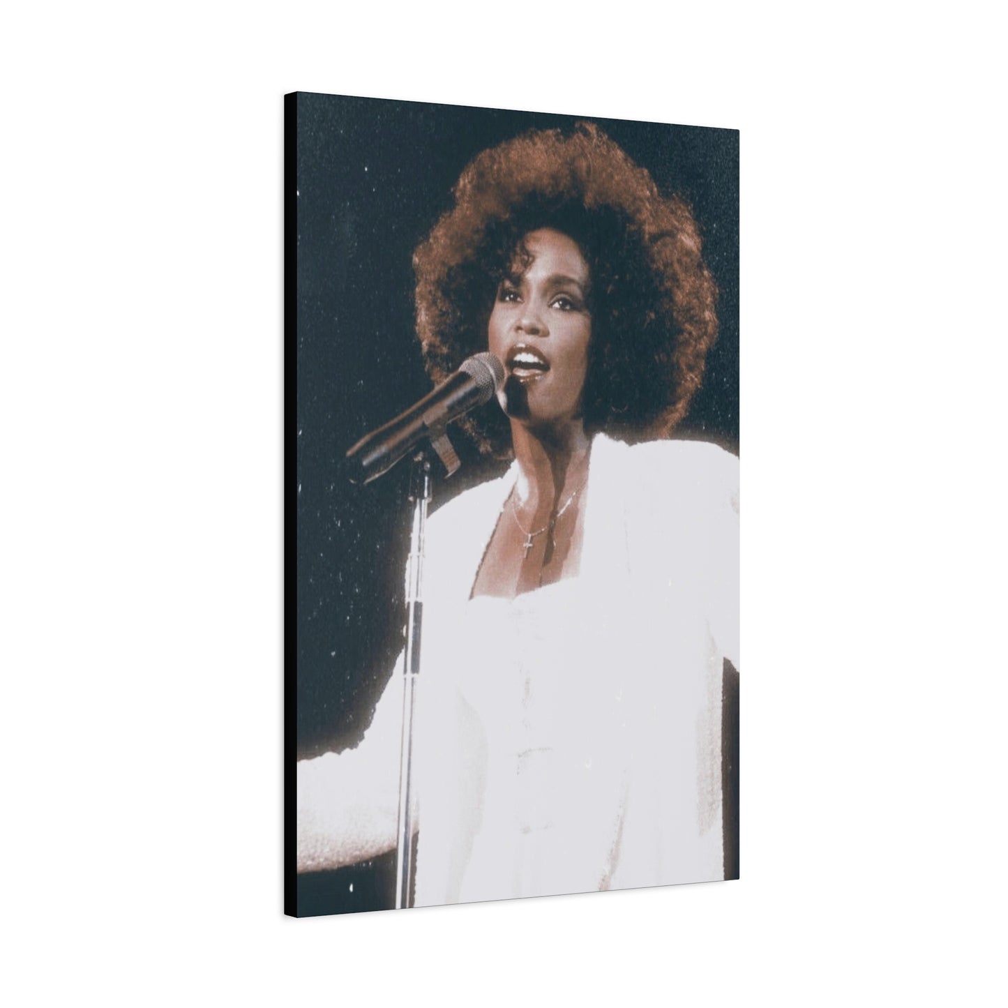 Whitney Houston Classic Canvas