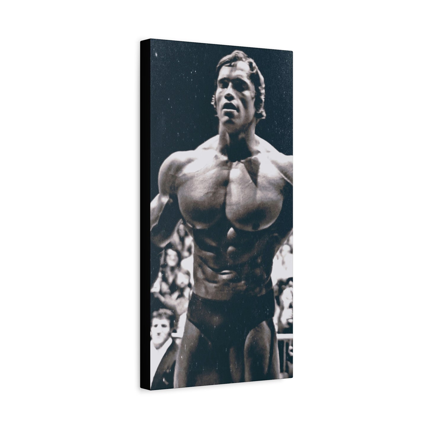 Arnold Schwarzenegger Classic Canvas