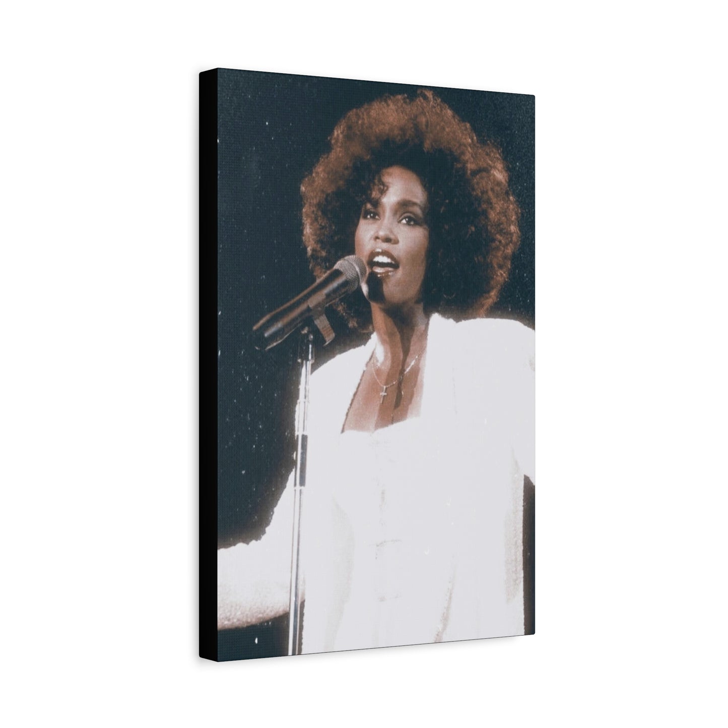 Whitney Houston Classic Canvas