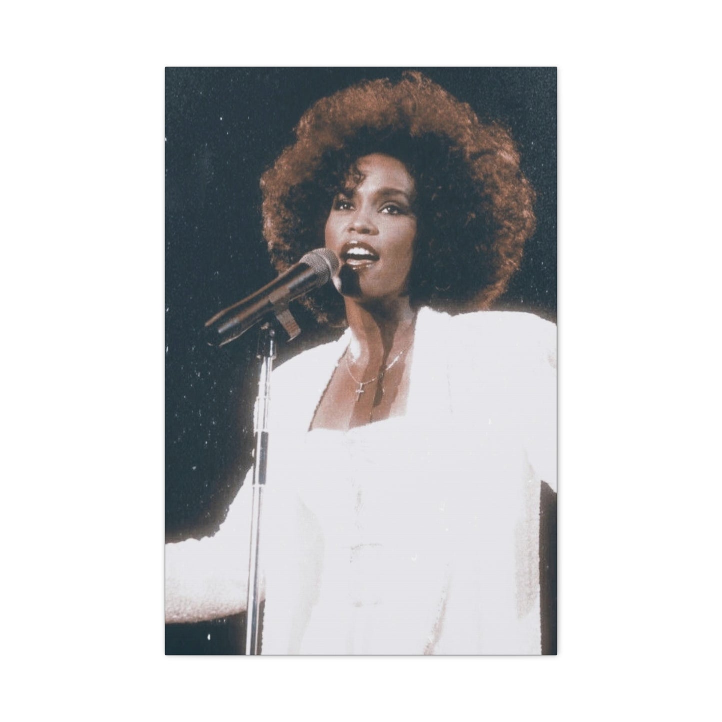 Whitney Houston Classic Canvas