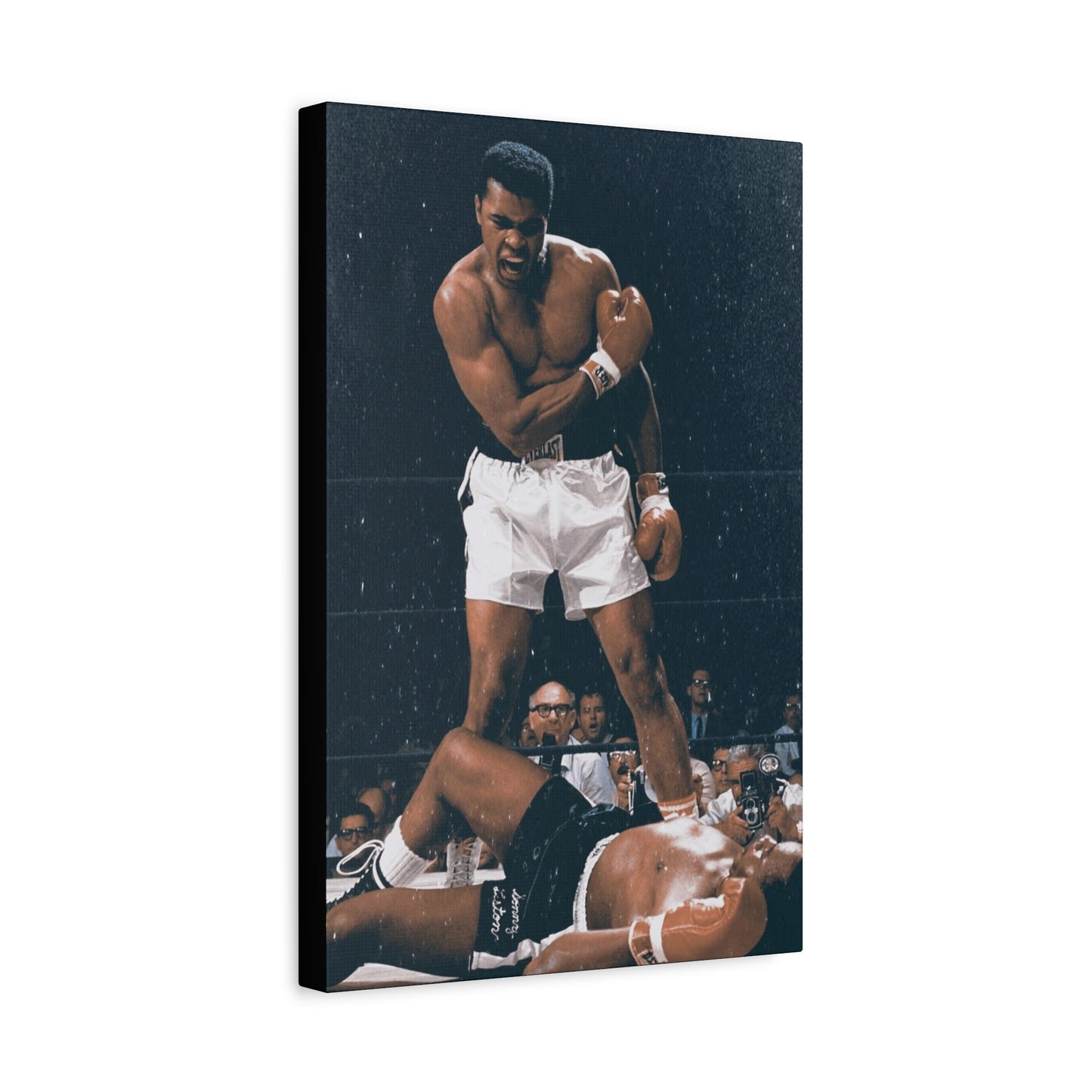 Muhammad Ali Classic Canvas