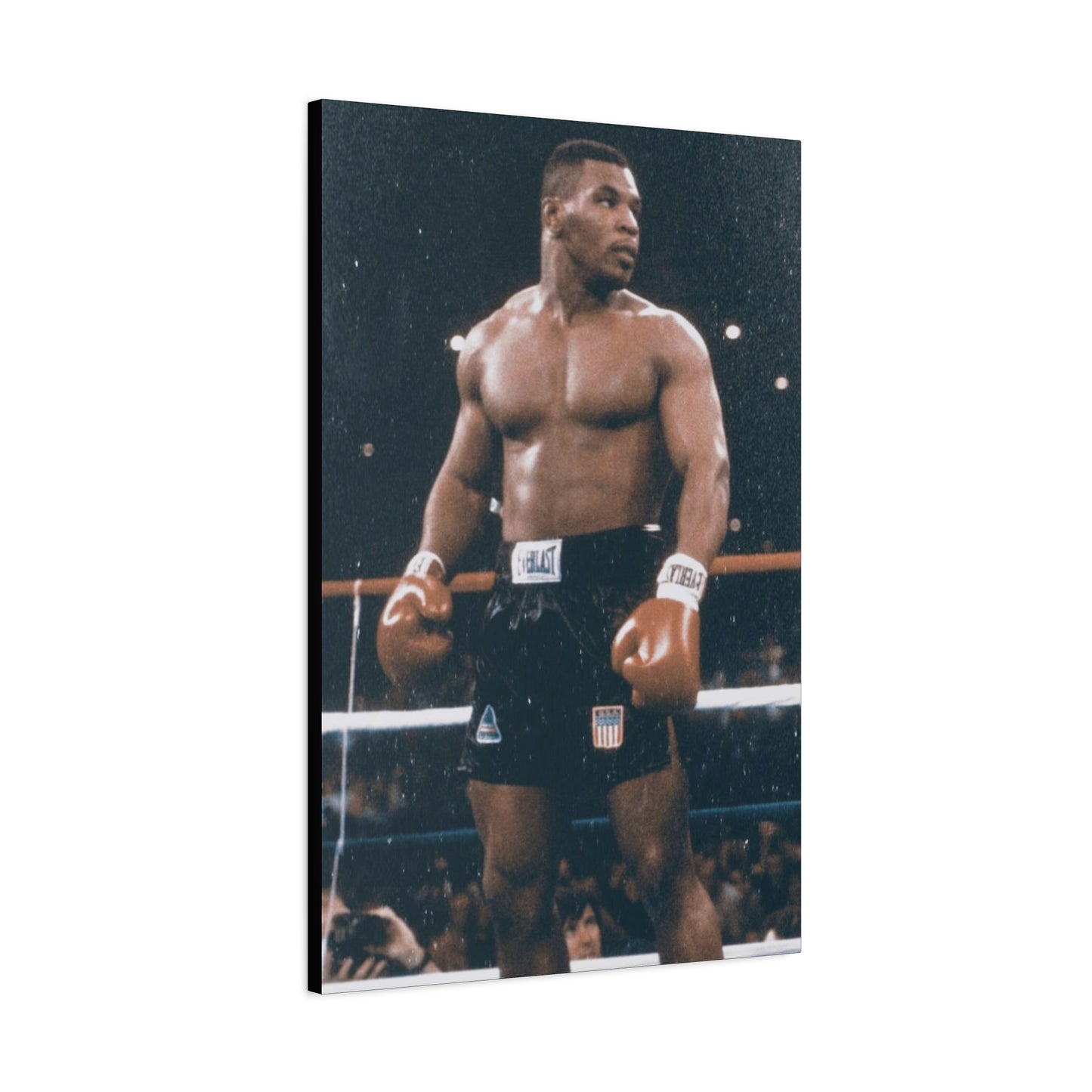 Mike Tyson Classic Canvas