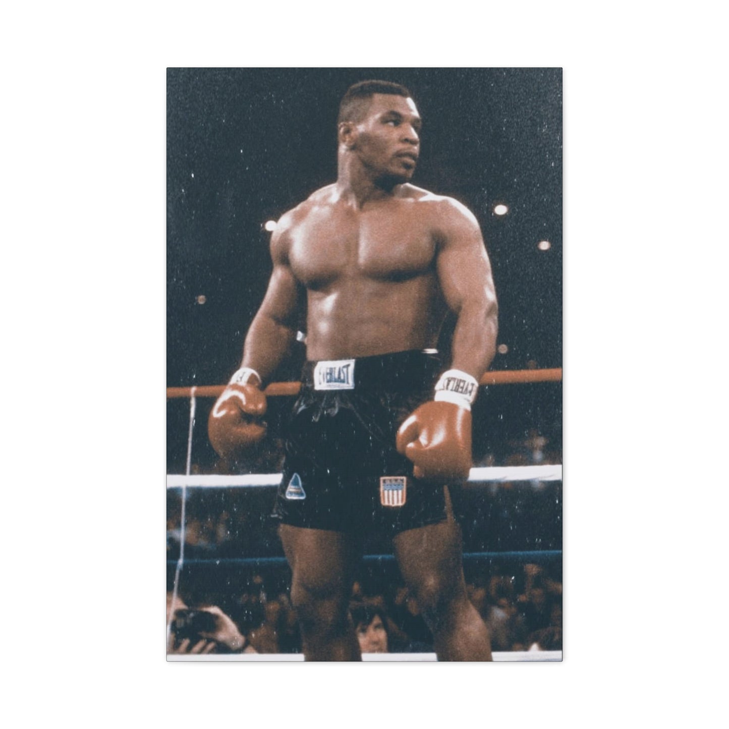 Mike Tyson Classic Canvas