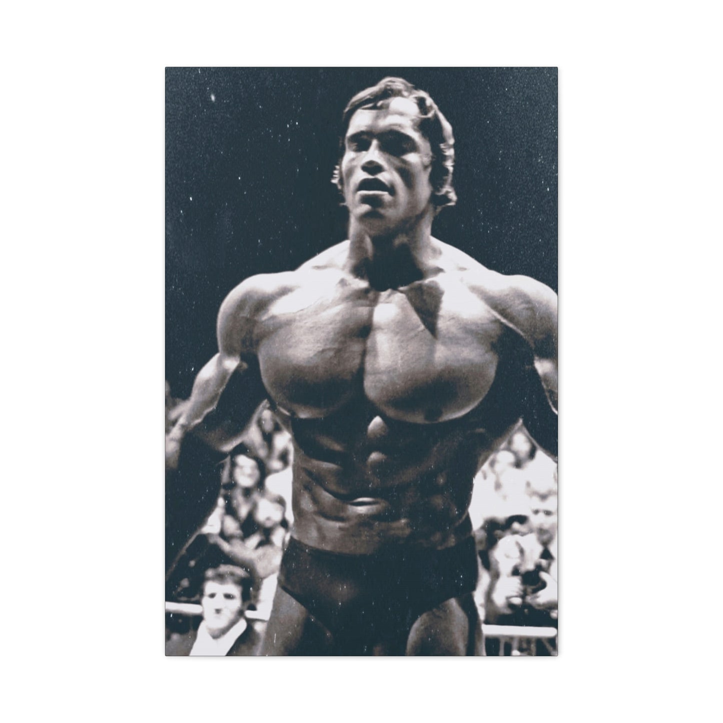 Arnold Schwarzenegger Classic Canvas