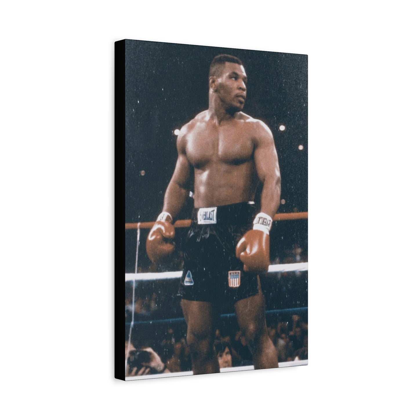 Mike Tyson Classic Canvas