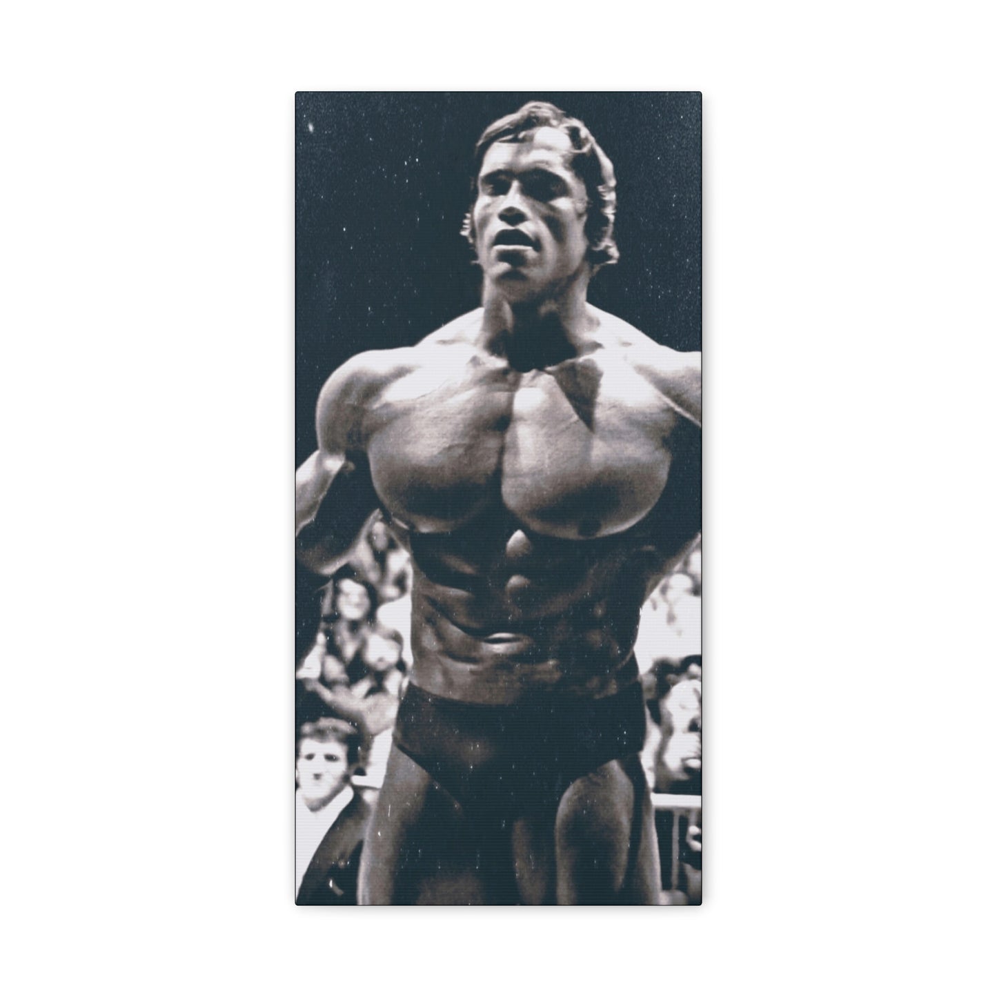 Arnold Schwarzenegger Classic Canvas