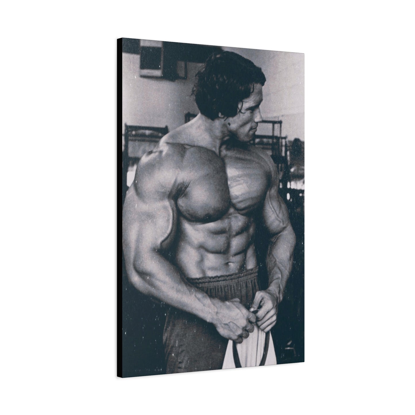 Arnold Schwarzenegger Classic Canvas