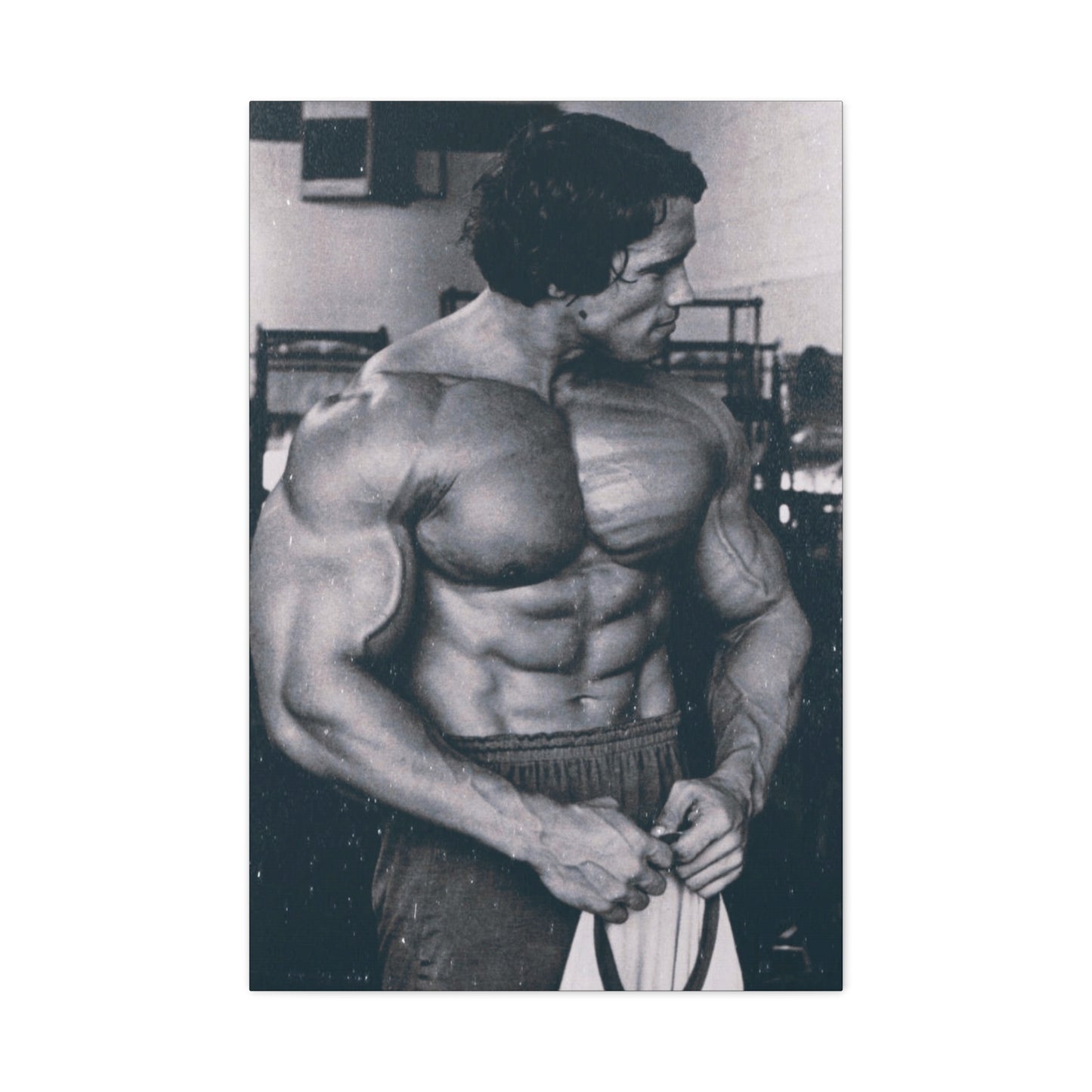 Arnold Schwarzenegger Classic Canvas