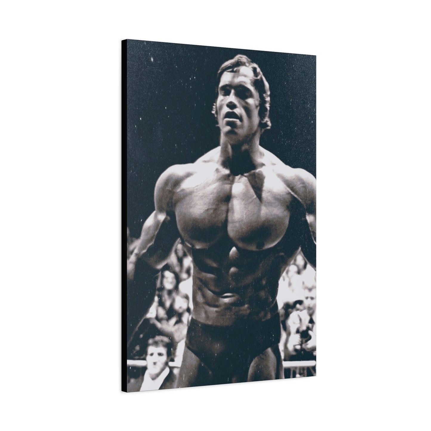 Arnold Schwarzenegger Classic Canvas